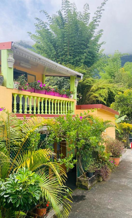 Chambres d'hôtes l'Orchidée Rose Salazie Exterior foto